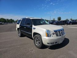 2007 Cadillac Escalade Luxury en venta en Memphis, TN