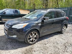 Ford Escape Titanium Vehiculos salvage en venta: 2014 Ford Escape Titanium