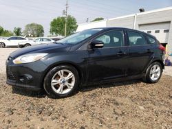 Ford Focus SE salvage cars for sale: 2014 Ford Focus SE