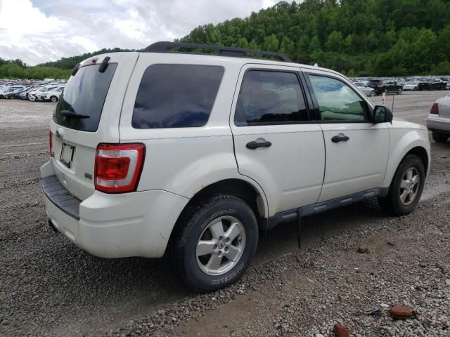 2010 Ford Escape XLT