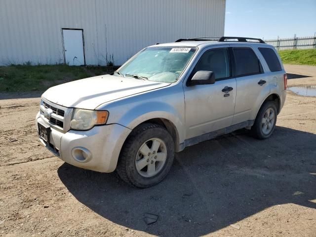 2010 Ford Escape XLT