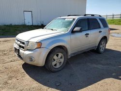 Ford Escape Vehiculos salvage en venta: 2010 Ford Escape XLT