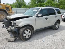 2009 Ford Escape XLT en venta en Hurricane, WV