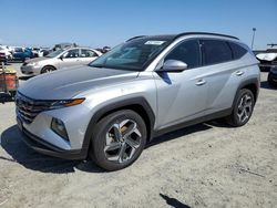 2023 Hyundai Tucson Limited en venta en Antelope, CA