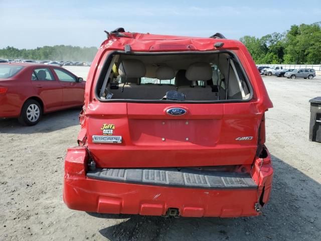 2009 Ford Escape XLT