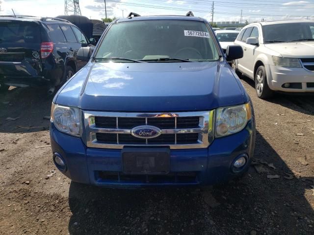 2008 Ford Escape XLT