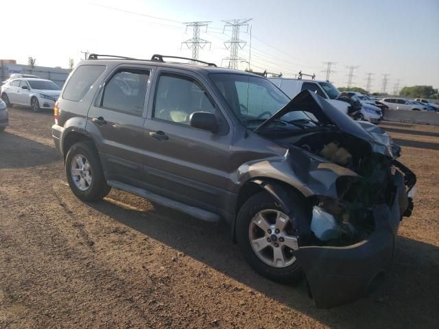 2006 Ford Escape XLT