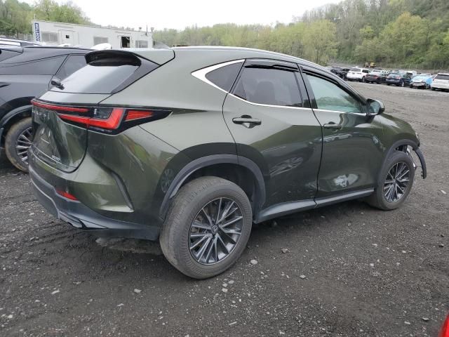 2024 Lexus NX 250 Premium