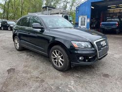 Audi Vehiculos salvage en venta: 2012 Audi Q5 Premium Plus