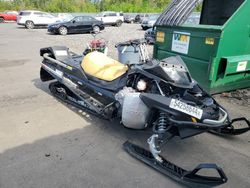 Skidoo Expedition salvage cars for sale: 2016 Skidoo Expedition