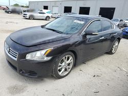 2014 Nissan Maxima S for sale in Jacksonville, FL