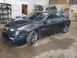 2012 Acura TL for sale in Ham Lake, MN