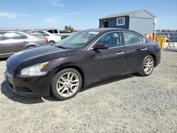 Vehiculos salvage en venta de Copart Antelope, CA: 2011 Nissan Maxima S