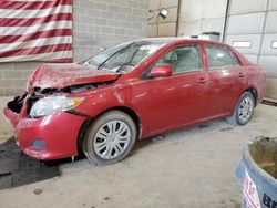 Toyota salvage cars for sale: 2010 Toyota Corolla Base