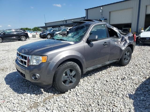 2011 Ford Escape XLT