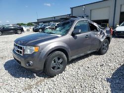 2011 Ford Escape XLT en venta en Wayland, MI