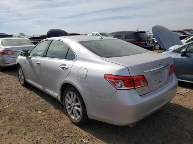 2010 Lexus ES 350