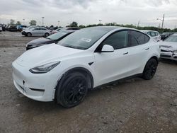 2023 Tesla Model Y for sale in Indianapolis, IN