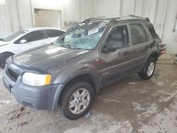 2002 Ford Escape XLT for sale in Madisonville, TN