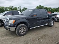 Ford f-150 salvage cars for sale: 2013 Ford F150 Supercrew