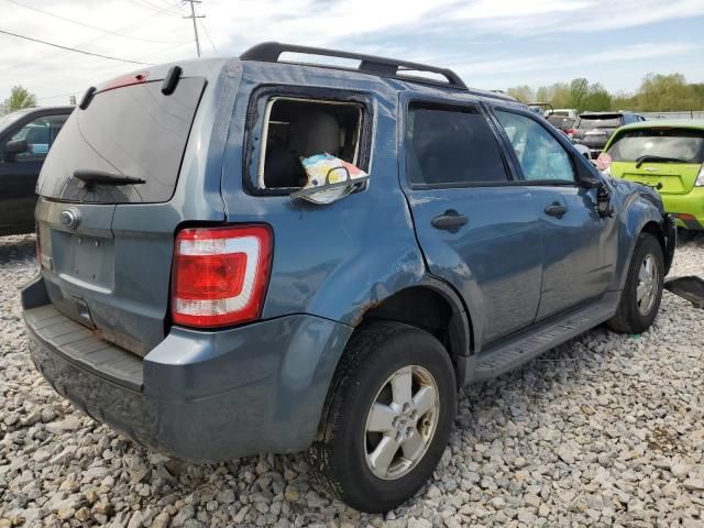 2011 Ford Escape XLT