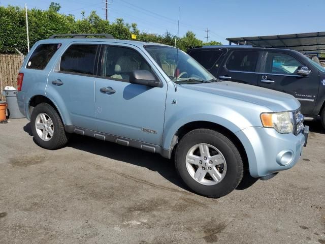 2008 Ford Escape HEV