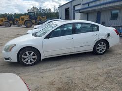 Nissan salvage cars for sale: 2005 Nissan Maxima SE