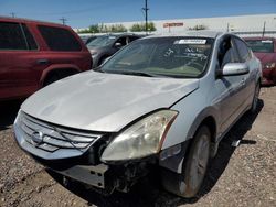 Salvage cars for sale from Copart Phoenix, AZ: 2011 Nissan Altima SR