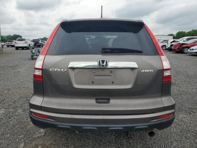 2010 Honda CR-V EXL