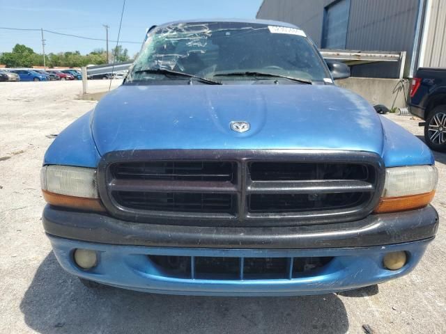 2000 Dodge Dakota Quattro