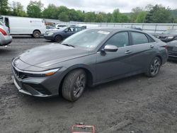 Hyundai Elantra sel Vehiculos salvage en venta: 2024 Hyundai Elantra SEL