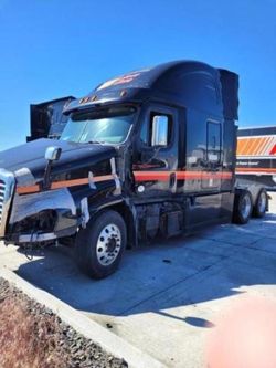 Freightliner salvage cars for sale: 2016 Freightliner Cascadia 125