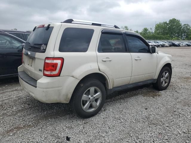 2011 Ford Escape Limited