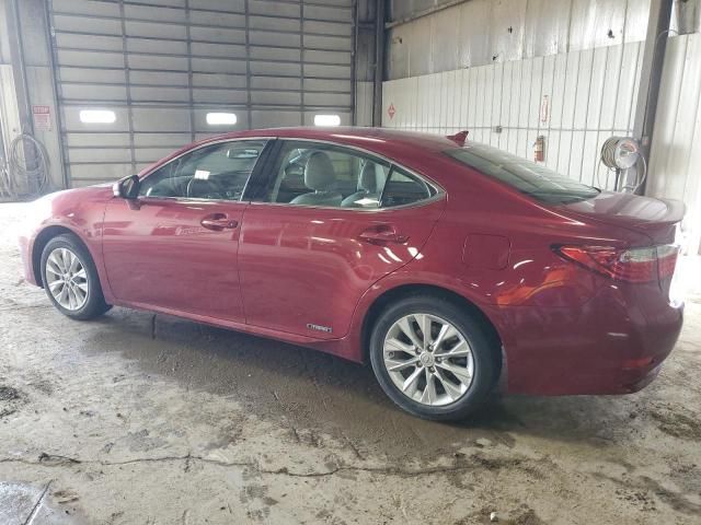 2014 Lexus ES 300H