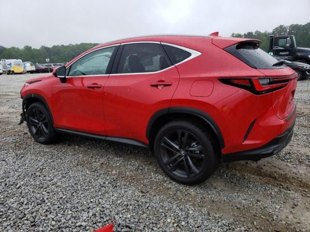 2024 Lexus NX 450H Luxury