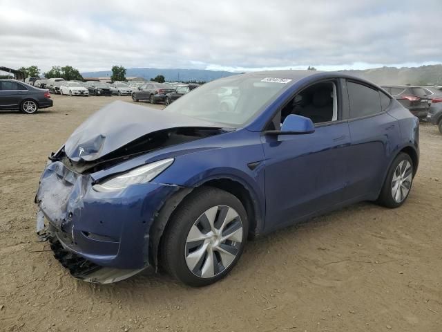 2020 Tesla Model Y