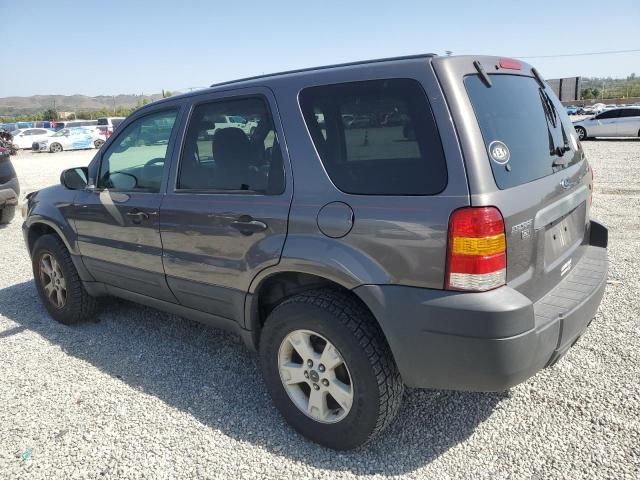 2006 Ford Escape XLT