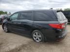 2019 Honda Odyssey EXL