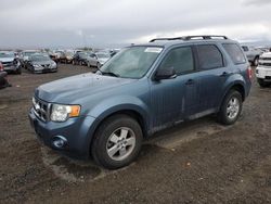 Ford salvage cars for sale: 2011 Ford Escape XLT