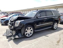 2015 Cadillac Escalade Luxury en venta en Louisville, KY