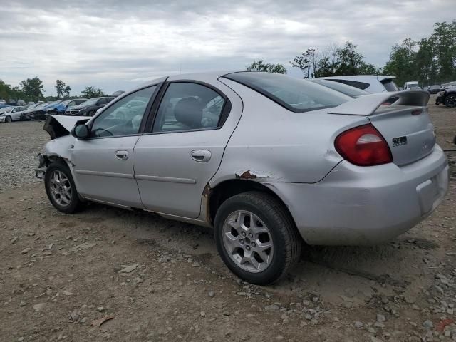 2003 Dodge Neon SXT