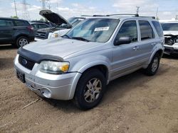 2005 Ford Escape Limited en venta en Elgin, IL