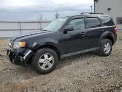 Ford Escape XLT salvage cars for sale: 2009 Ford Escape XLT
