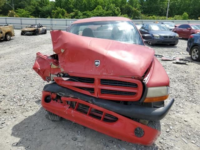 2000 Dodge Dakota