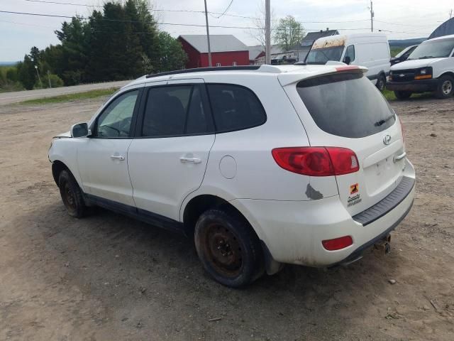 2009 Hyundai Santa FE SE