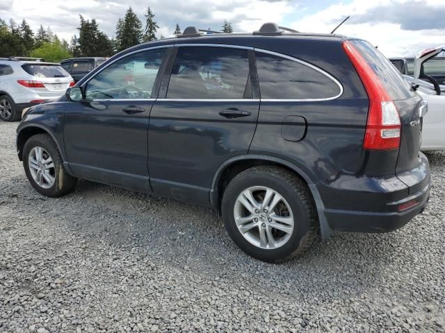 2010 Honda CR-V EXL