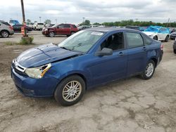 Ford Focus SE salvage cars for sale: 2009 Ford Focus SE
