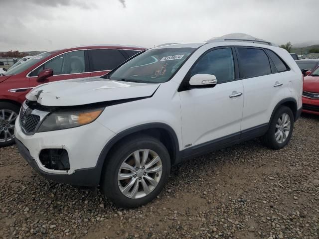 2011 KIA Sorento Base