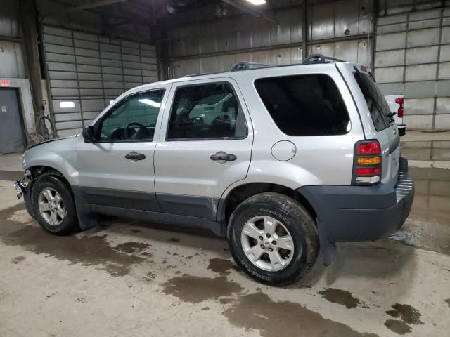 2005 Ford Escape XLT