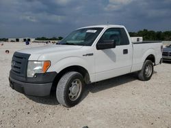 2010 Ford F150 for sale in New Braunfels, TX